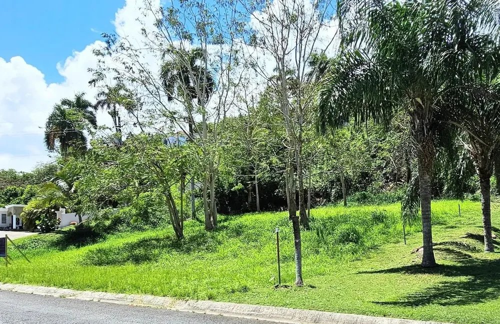 Tranquility of Barrio Pueblo